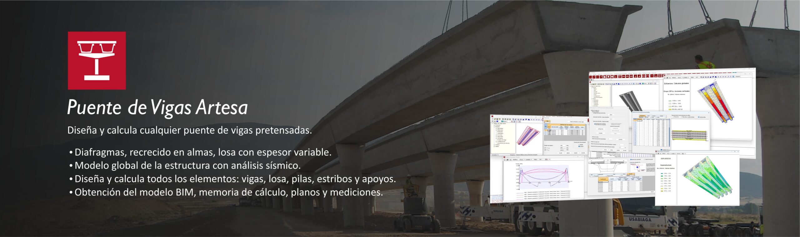 Puente Vigas Artesa